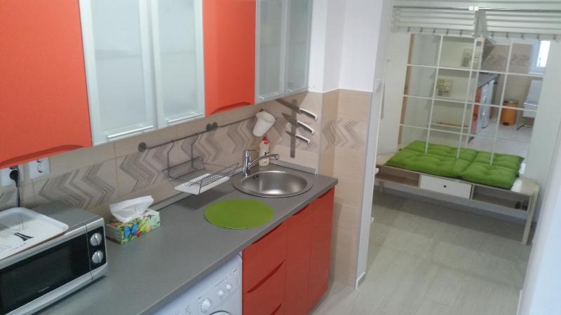 Studio Apartment image 4