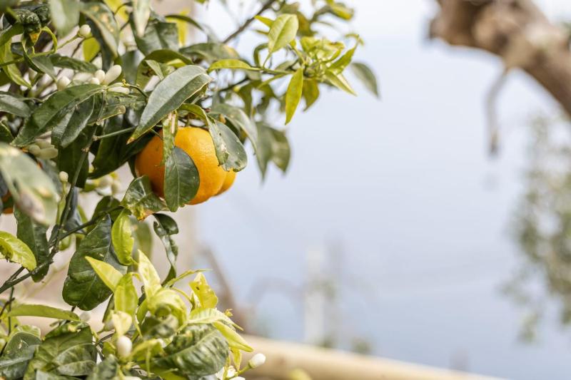 Un Nido Su Amalfi - image 14