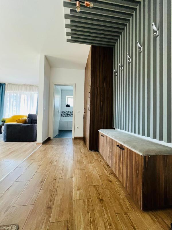 Apartment Richy Brasov - image 10