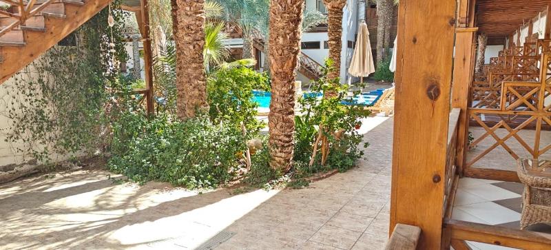 Acacia Dahab Hotel - image 21
