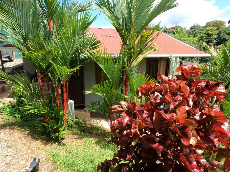 Charming Small House Near the beach & Waterfalls - image 13