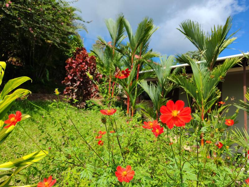Charming Small House Near the beach & Waterfalls - image 15