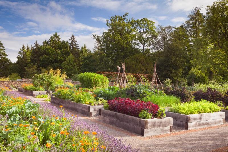 Rudding Park - image 31
