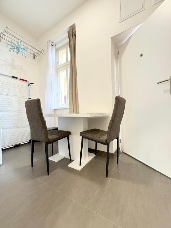 Studio apartment in Viktoria Zizkov - image 14