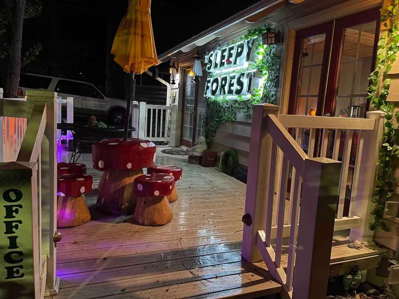 Sleepy Forest Cottages - image 12