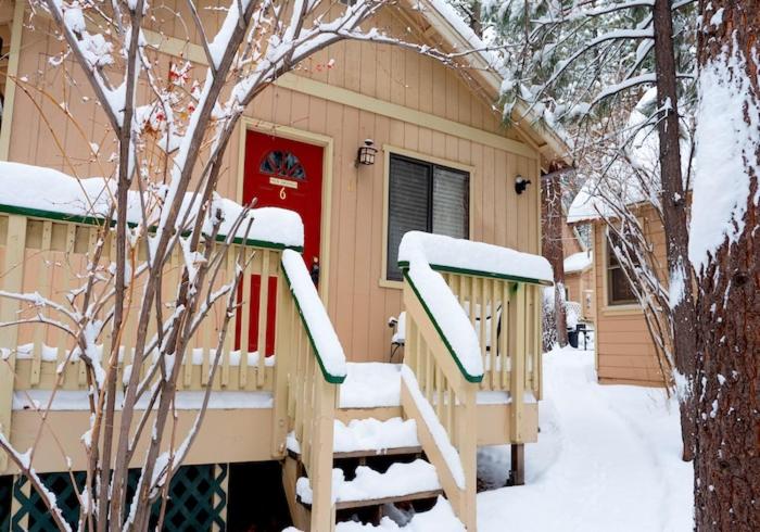 Sleepy Forest Cottages - image 10