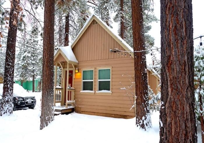Sleepy Forest Cottages - image 41