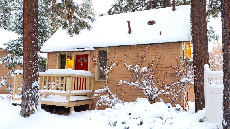Sleepy Forest Cottages - image 36