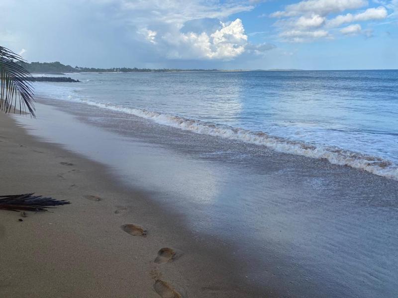 Ocevia - Tangalle - image 8