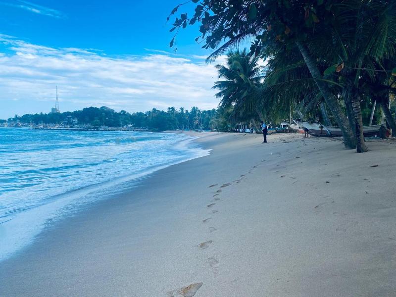 Ocevia - Tangalle - image 15