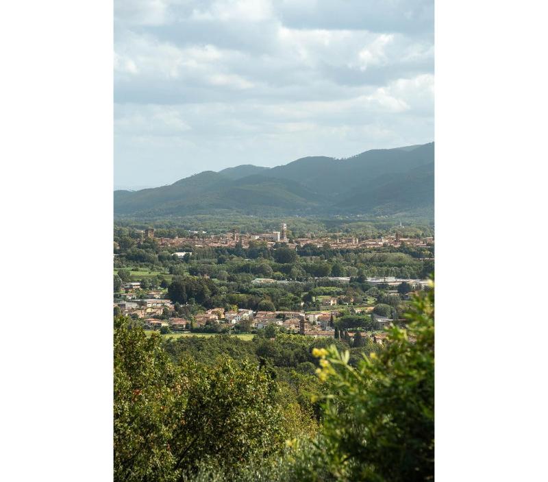 Il Vignale by Salogi Villas - image 27