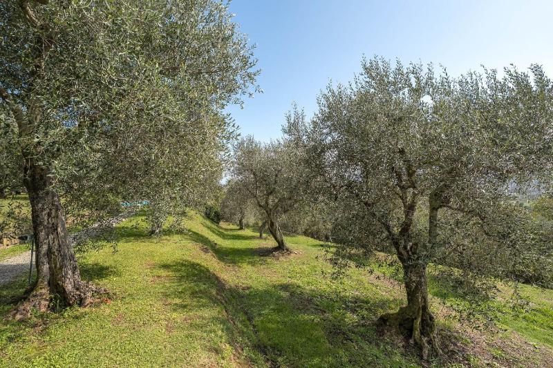 Il Vignale by Salogi Villas - image 29