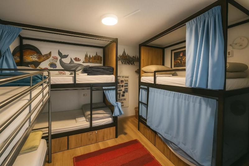 Hostel El Cascabel - image 6