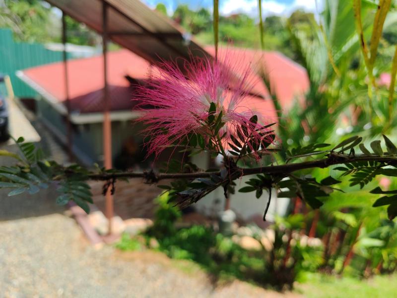 Charming Small House Near the beach & Waterfalls - image 6