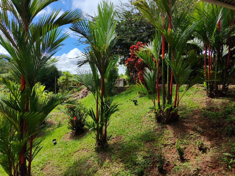 Charming Small House Near the beach & Waterfalls - image 12