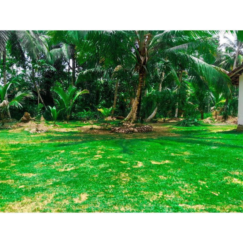 Aqua Bliss Resort & Villa Bentota - image 21