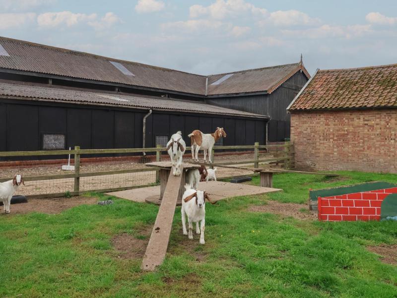 Carabelle Cow Shed 7 - image 11