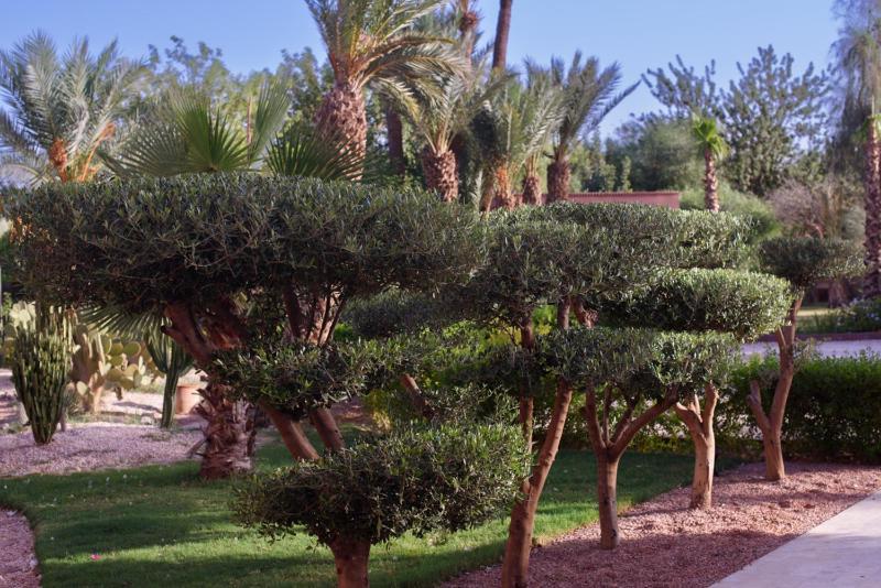Villa Prestige Mansourya - image 13