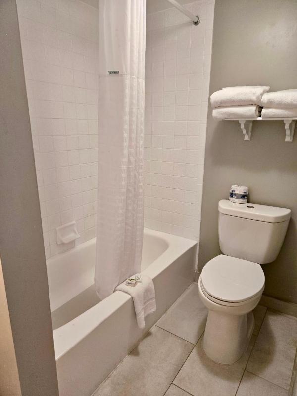La Quinta Inn Tampa Airport Stadium Westshore - image 14