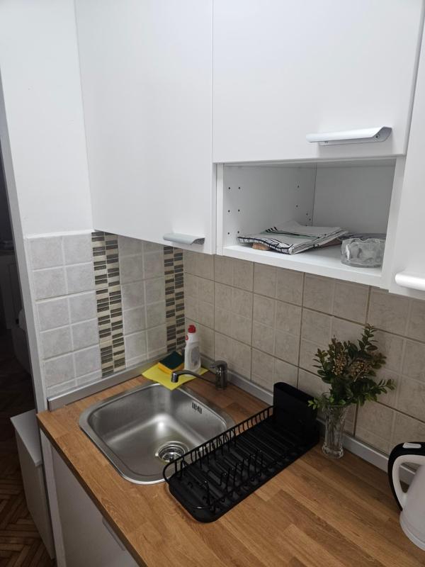 Zorka Studio in the Heart of Vracar - image 2