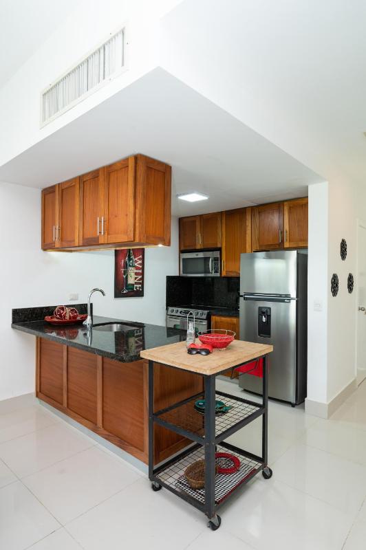 1BR Ocean View Luxury Beachfront in Cabarete - image 20