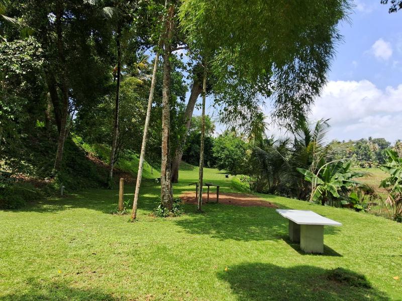 Villa Rice Edge - image 2