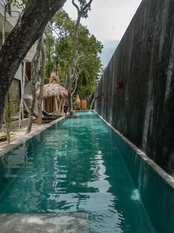 Kinich Nah - 2 BR Penthouse Rooftop and Pool Amazing Jungle View - image 23
