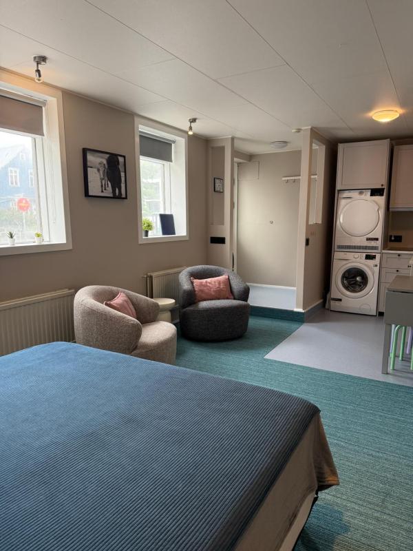 Reykjavik 101 Suites - image 16