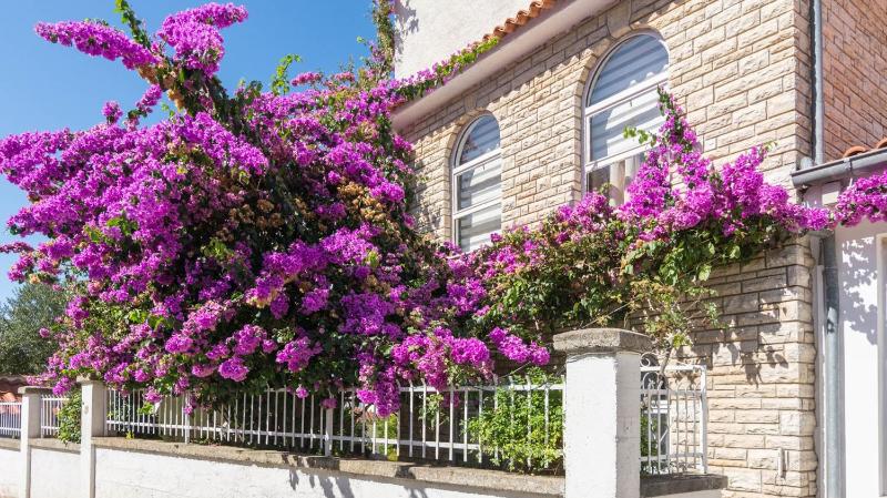 Apartment Rajna - image 27