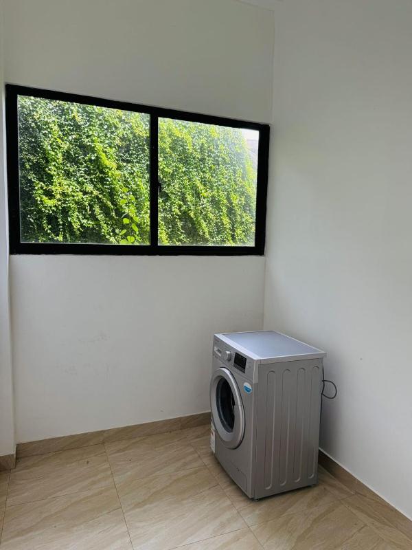 The Coconut tree villa - image 18