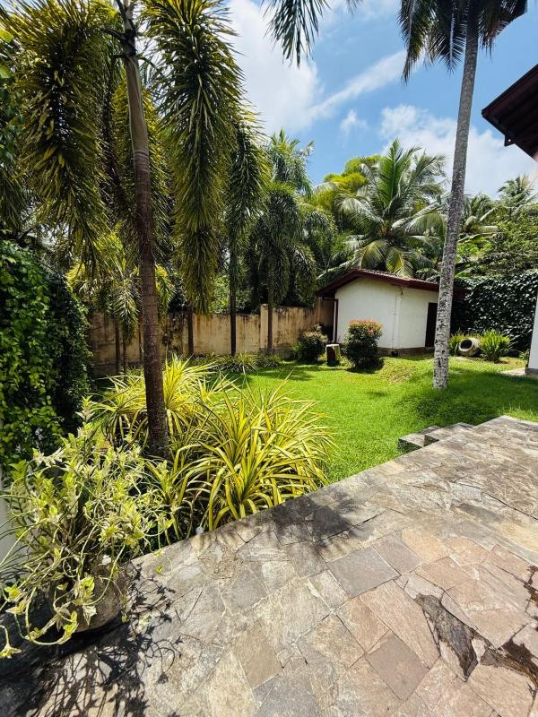 The Coconut tree villa - image 2