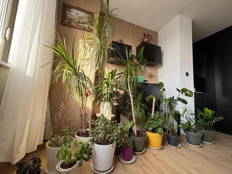 Bel appartement bourgeois 170 m2 Proche gare et Place Stanislas Nancy - image 44
