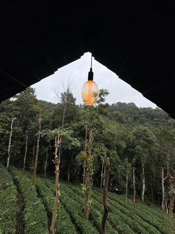 Fresh Wave Resort With Private Pool Tree House - Soochipara - Wayanad - image 25