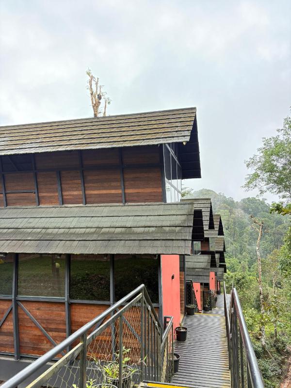 Fresh Wave Resort With Private Pool Tree House - Soochipara - Wayanad - image 2