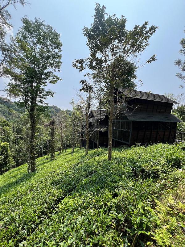 Fresh Wave Resort With Private Pool Tree House - Soochipara - Wayanad - image 19