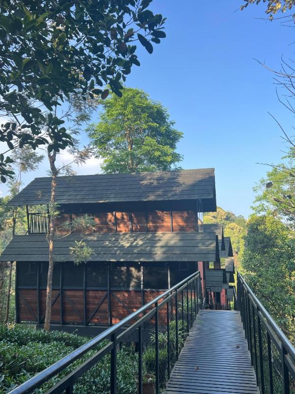 Fresh Wave Resort With Private Pool Tree House - Soochipara - Wayanad - image 18