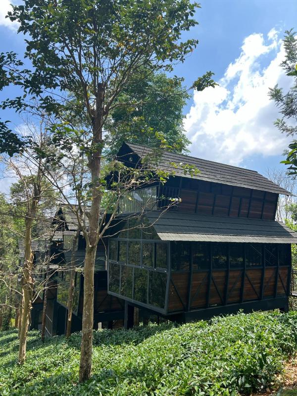 Fresh Wave Resort With Private Pool Tree House - Soochipara - Wayanad - image 13