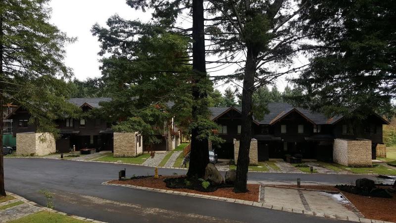 PUCON HOUSE - Lake Access & Near Ski Center - image 37