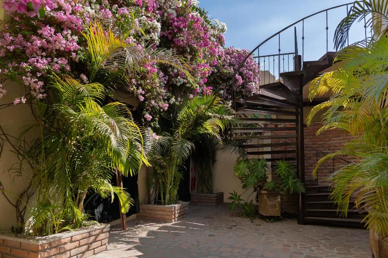 Posada de las Flores La Paz - image 28