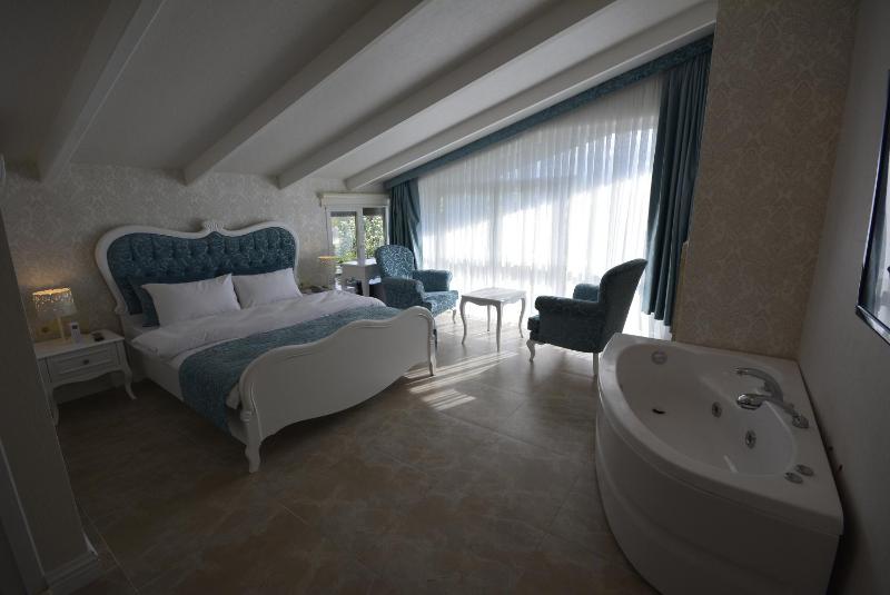 Deluxe Double Room image 3
