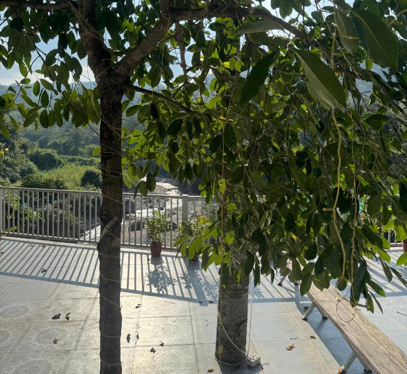 Saraiville- A Boutique Riverside Stay - image 47