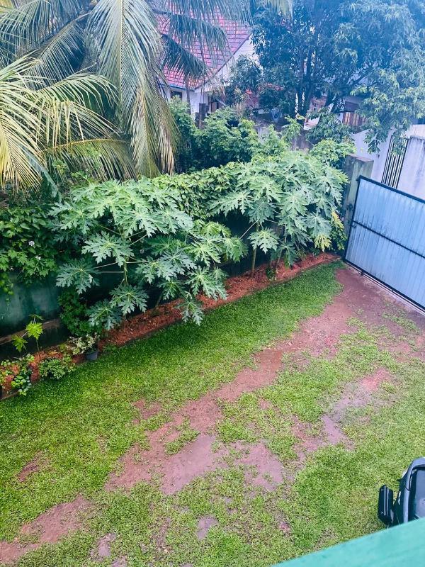 Jana Villa - image 7