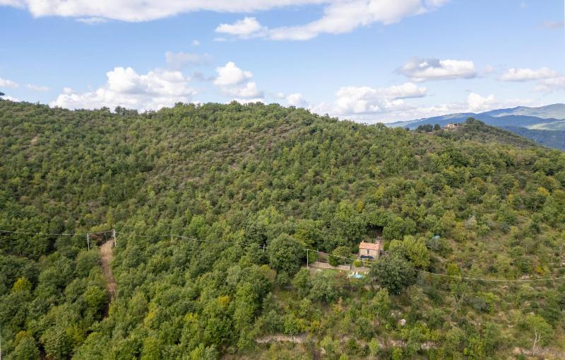 Pet Friendly Home In Cortona Ar - image 23