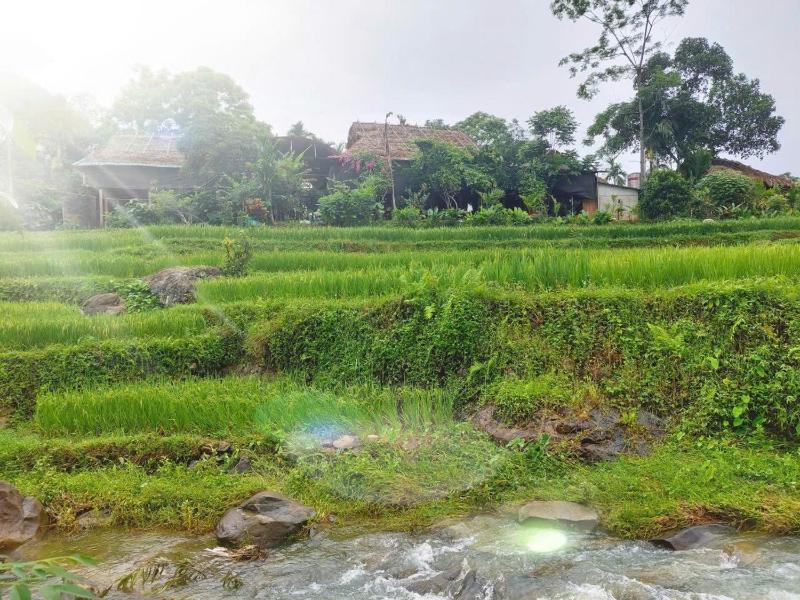 Homestay Hoanh Thắng - image 3