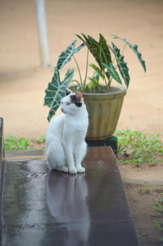 City Tourist Rest - image 6