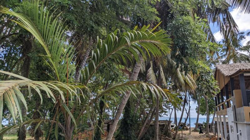 Amurasan beach studio - image 4