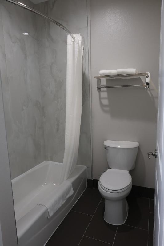 Hotel Royale - Houston Hobby Airport - image 3