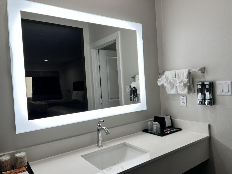 Hotel Royale - Houston Hobby Airport - image 2