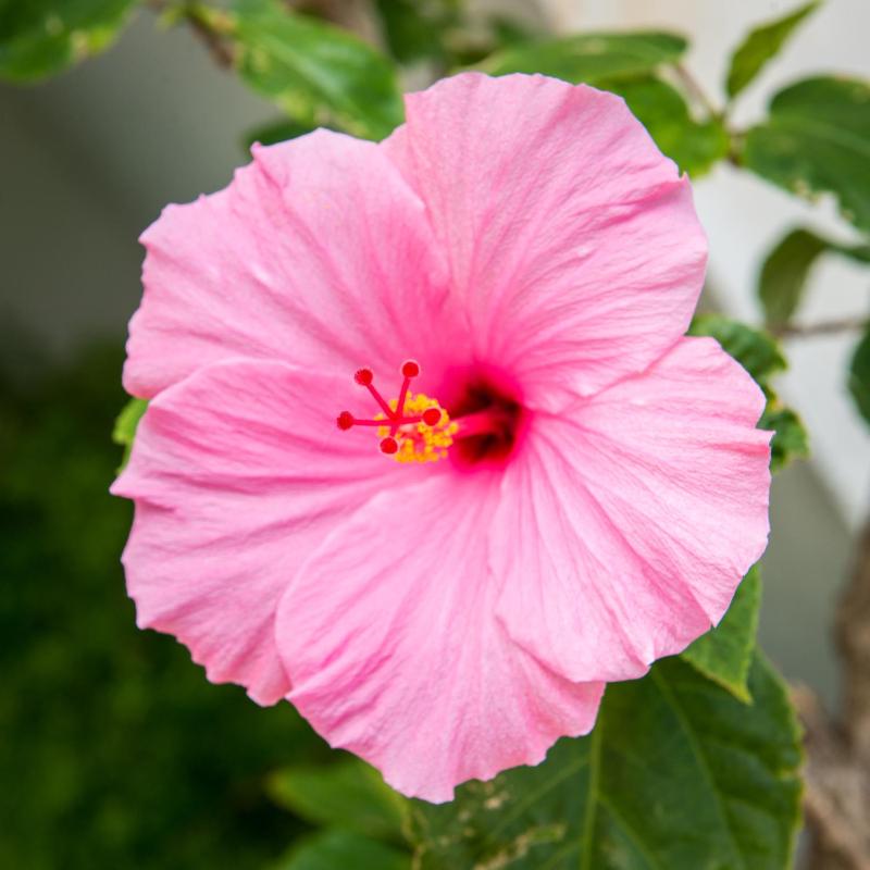 Shore Haven Resort Inn - image 18