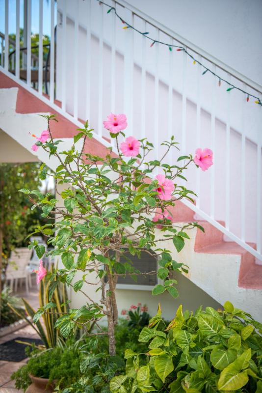 Shore Haven Resort Inn - image 17